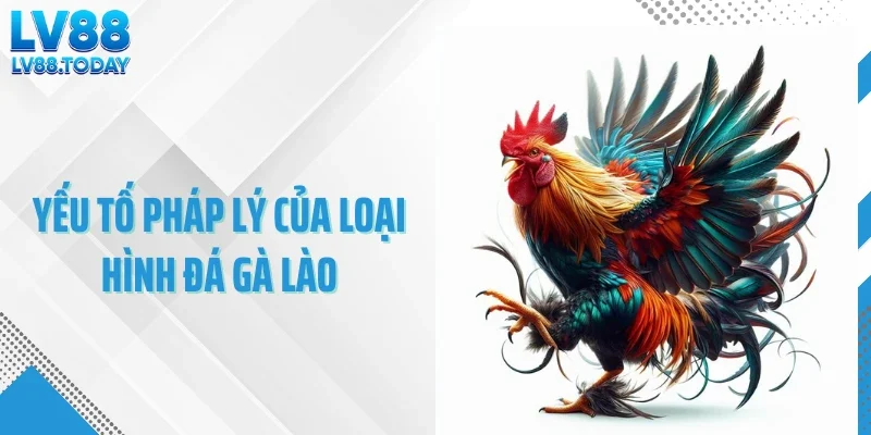 Yếu tố pháp lý của loại hình đá gà Lào